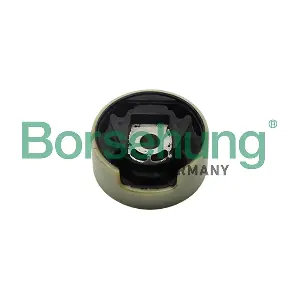 Borsehung B11355