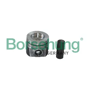 Borsehung B19298