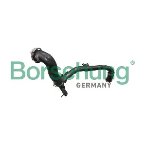 B12352 Borsehung