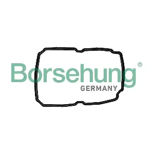 B12722 Borsehung
