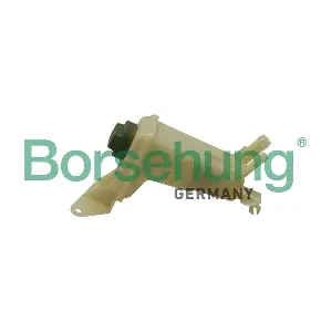 B19207 Borsehung