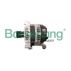 Borsehung B12917