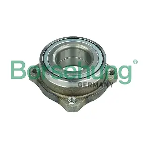 Borsehung B11712