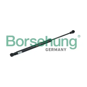 B18439 Borsehung