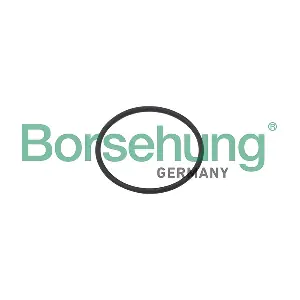 Borsehung B10637