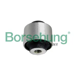 B19111 Borsehung