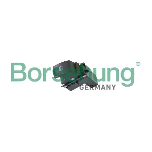B11592 Borsehung