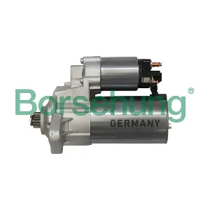 Borsehung B18166