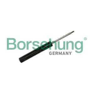 B11182 Borsehung