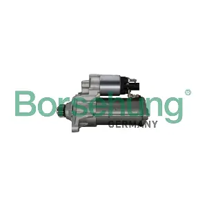 B12870 Borsehung
