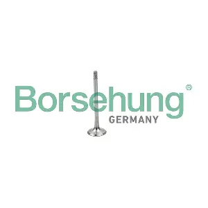 B19025 Borsehung