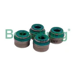 Borsehung B12535