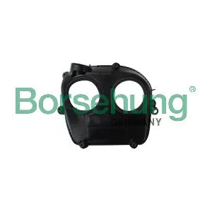 B12242 Borsehung