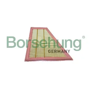 B12444 Borsehung