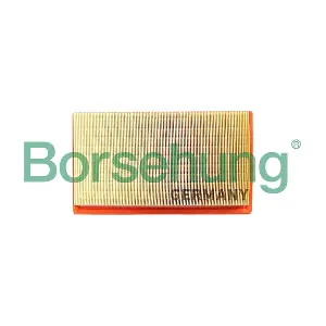 B12396 Borsehung