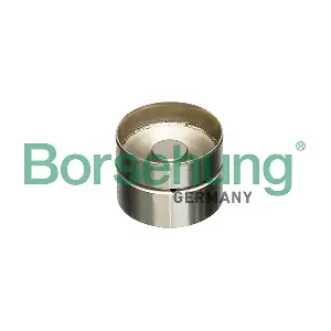 Borsehung B18837