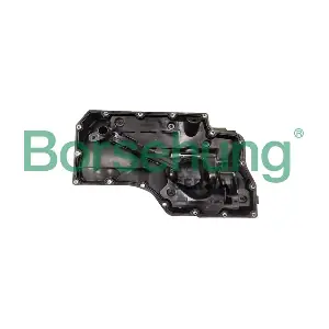 B12733 Borsehung