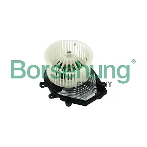 B14594 Borsehung