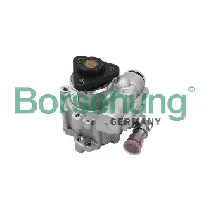 B13209 Borsehung