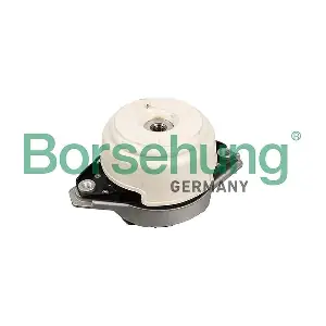 B12656 Borsehung