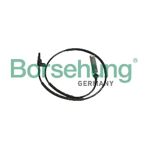 B12257 Borsehung