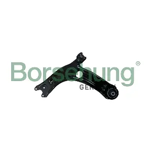 B10860 Borsehung