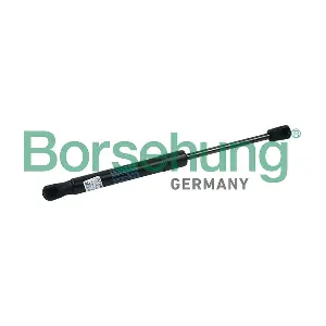 B18437 Borsehung