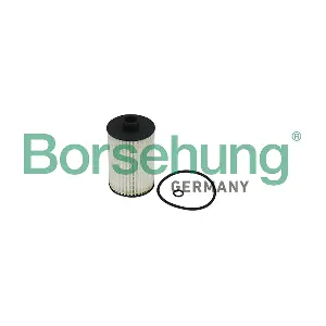 B10519 Borsehung