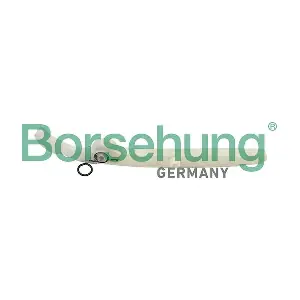 Borsehung B12596