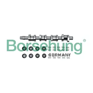 B18808 Borsehung