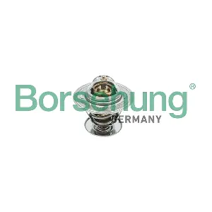 Borsehung B18245