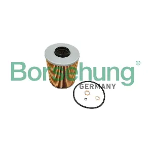 B10466 Borsehung