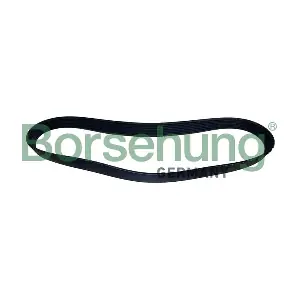 B12504 Borsehung