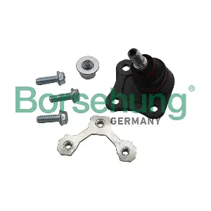 Borsehung B18701