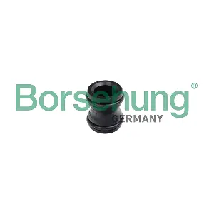 Borsehung B11991