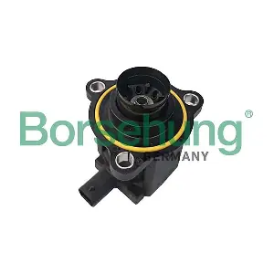B12583 Borsehung