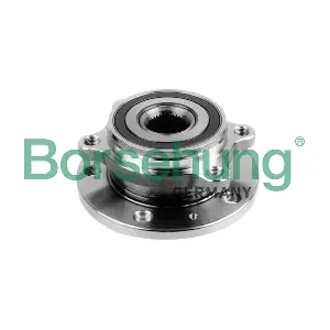 Borsehung B15625