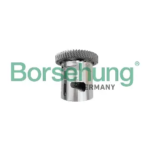 B11905 Borsehung