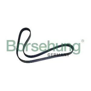 B12501 Borsehung
