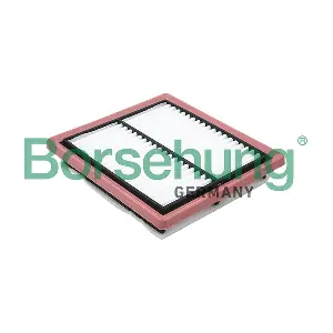 B12809 Borsehung