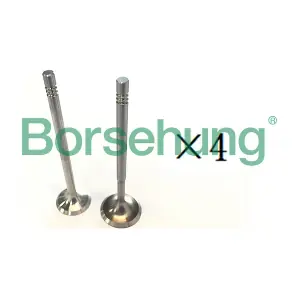 B18193 Borsehung