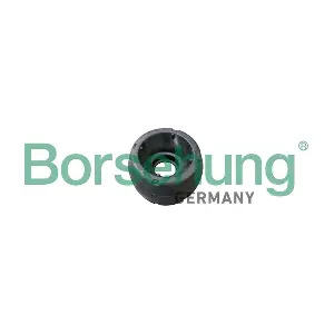 Borsehung B16172