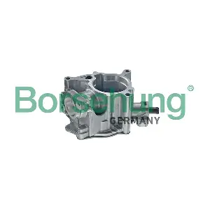 06J145100C BORSEHUNG