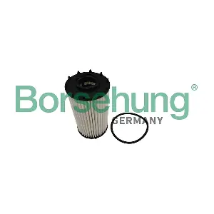 B10449 Borsehung