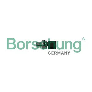 Borsehung B11839