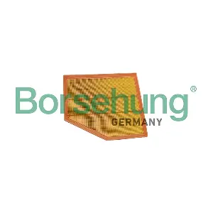 B13063 Borsehung