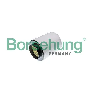B12904 Borsehung