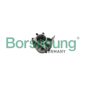 Borsehung B18666