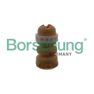 B10023 Borsehung
