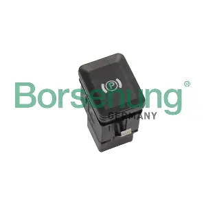 B18770 Borsehung